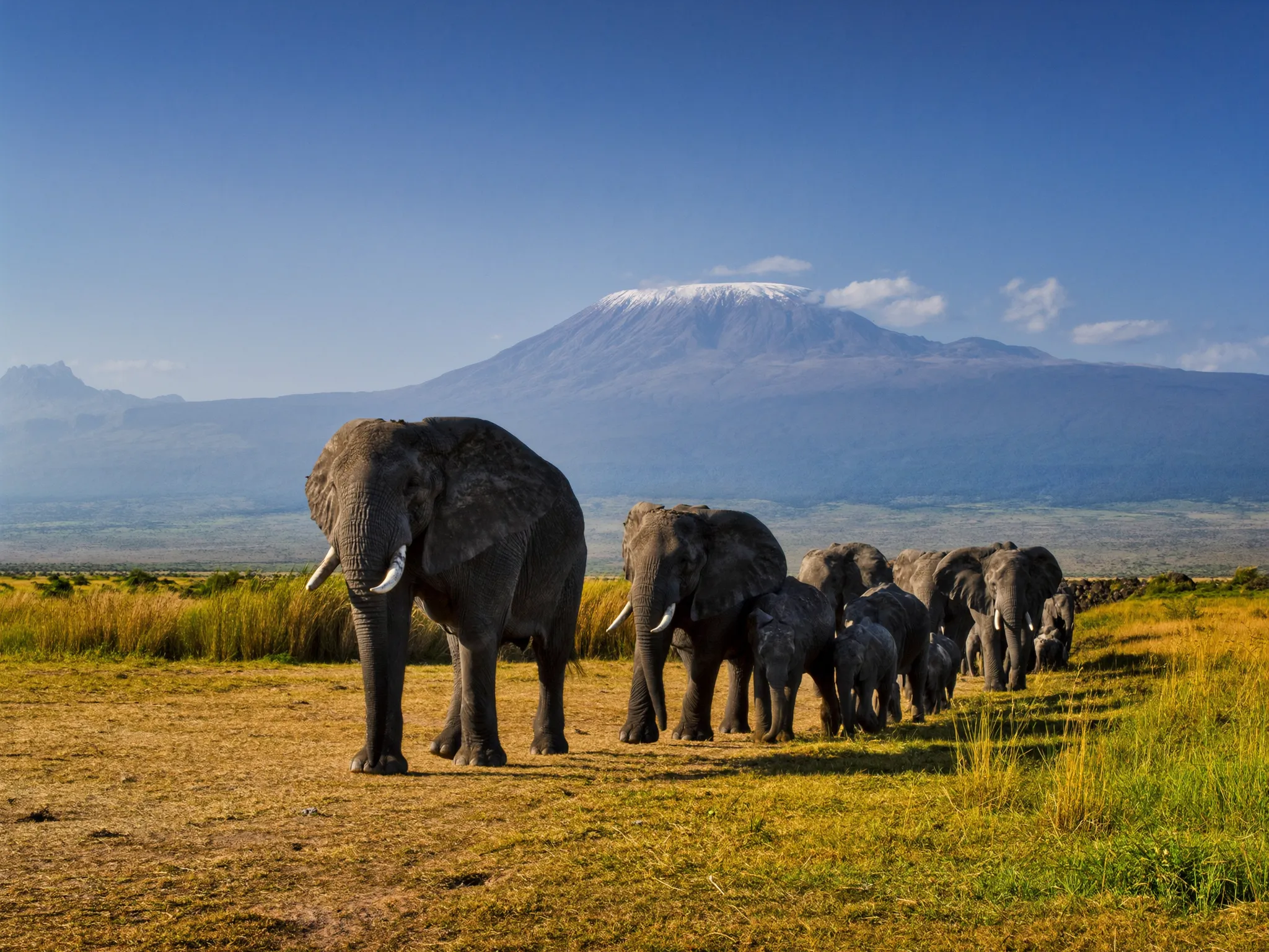 Wildlife viewing near Nairobi