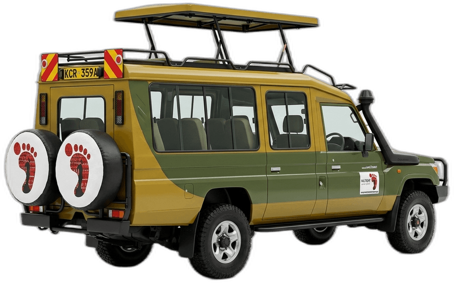 Custom Safari Land Cruiser — Bigfoot Adventures fleet vehicle