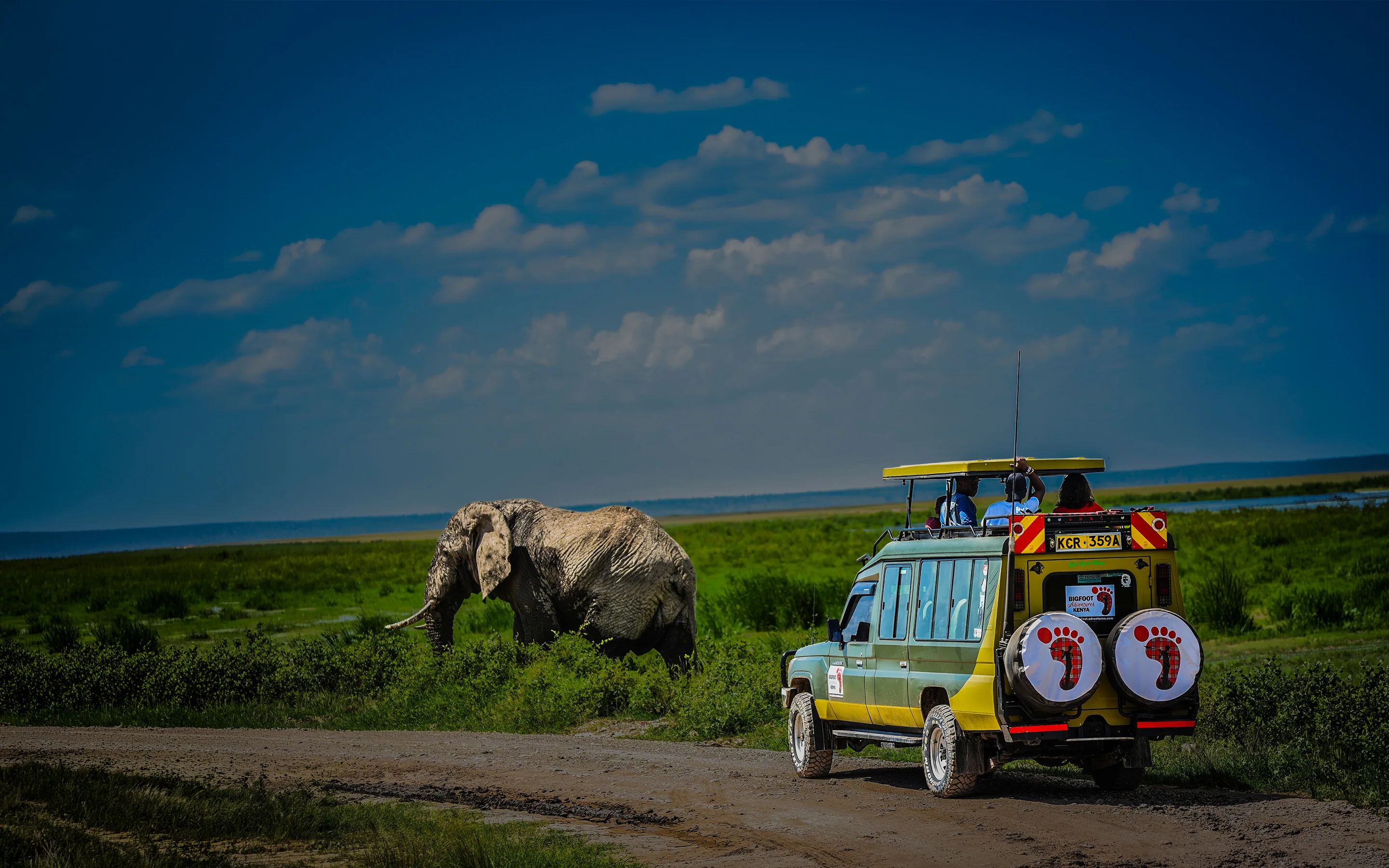 A Bigfoot Adventures safari vehicle stopped near an elephant on the Amboseli plains